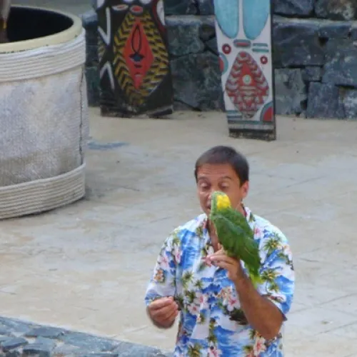 Aves del Paraíso