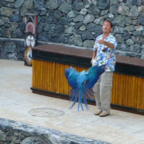 Aves del Paraíso