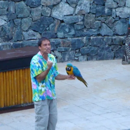 Aves del Paraíso