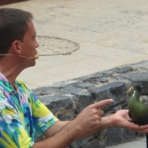 Aves del Paraíso