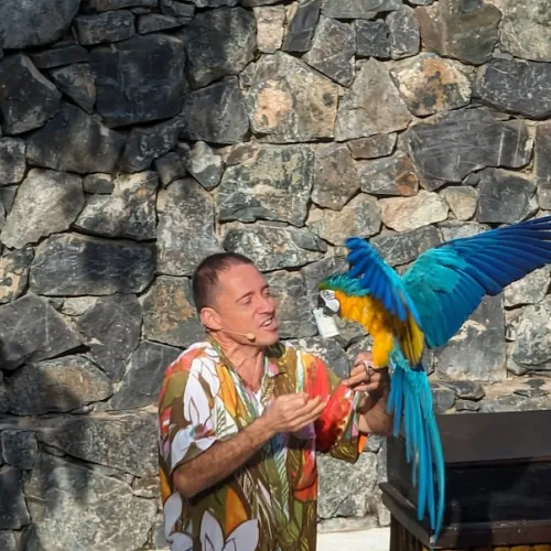 Aves del Paraíso