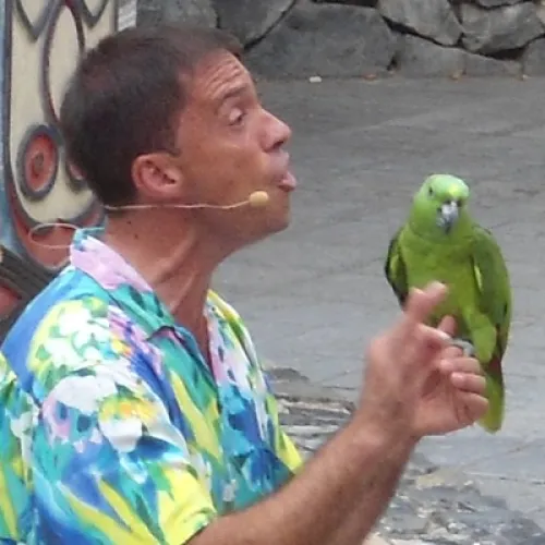 Aves del Paraíso