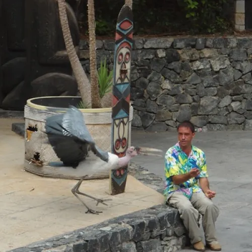 Aves del Paraíso