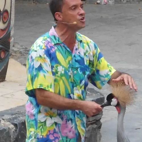 Aves del Paraíso