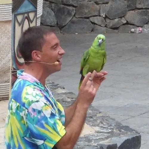 Aves del Paraíso