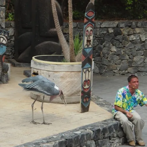 Aves del Paraíso