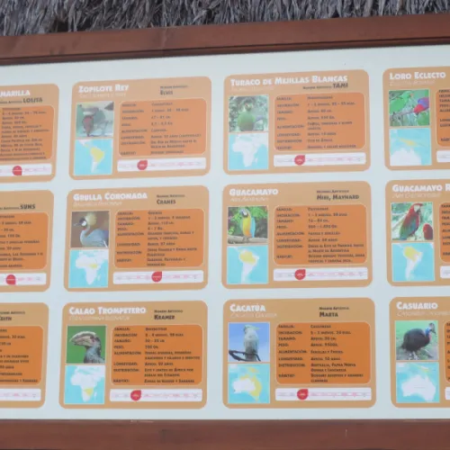 Aves del Paraíso
