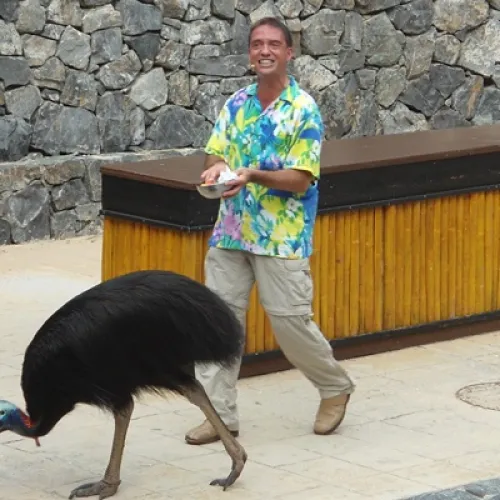 Aves del Paraíso