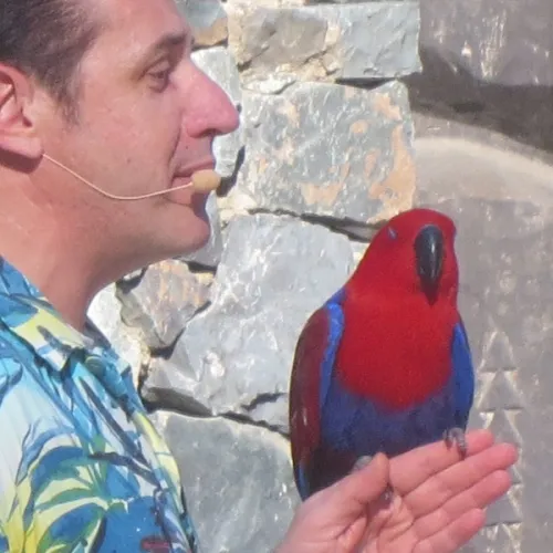 Aves del Paraíso