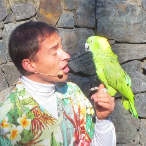Aves del Paraíso