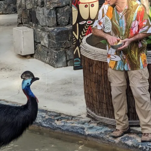 Aves del Paraíso