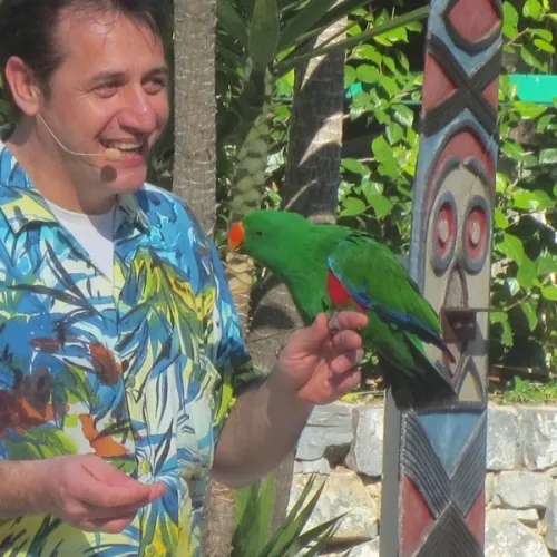 Aves del Paraíso