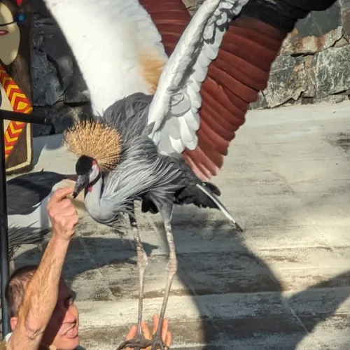 Aves del Paraíso