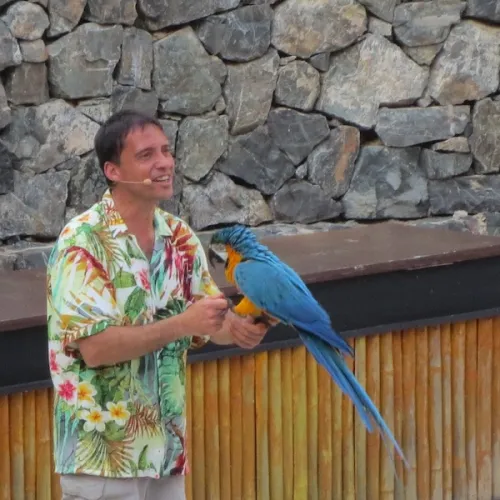 Aves del Paraíso