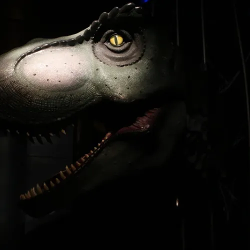 Dino Escape 4D