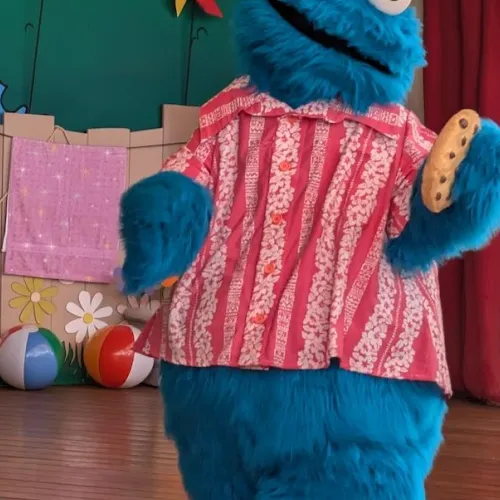 Sesame Street Summerfest
