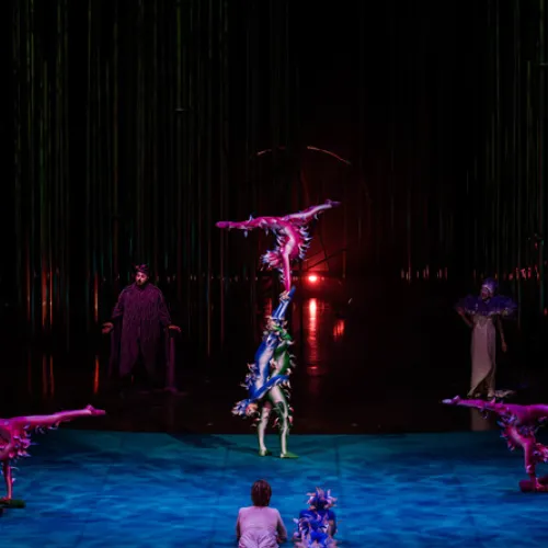 Varekai