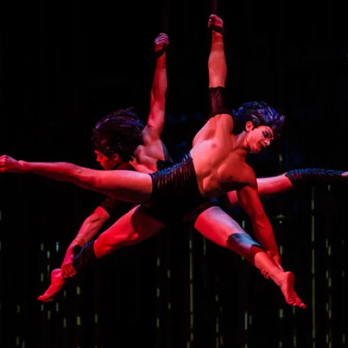 Varekai