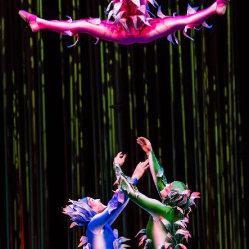 Varekai