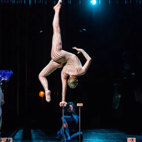 Varekai