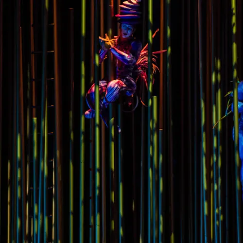 Varekai
