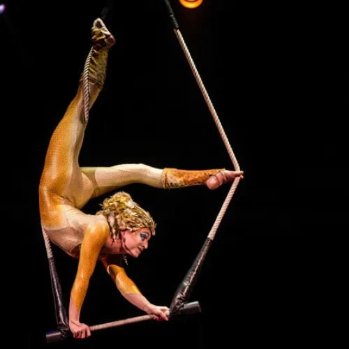 Varekai