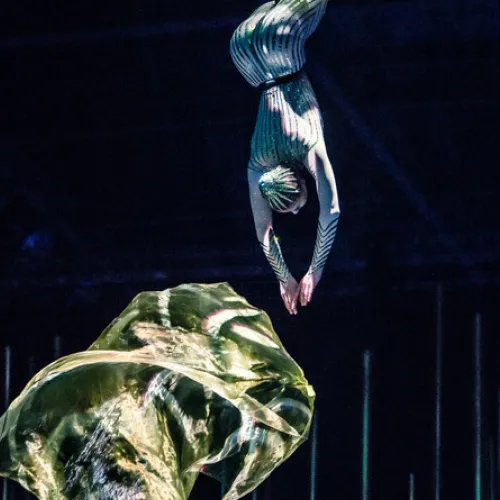 Varekai