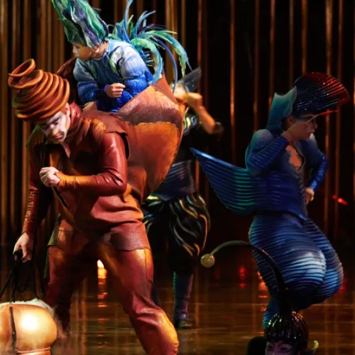 Varekai